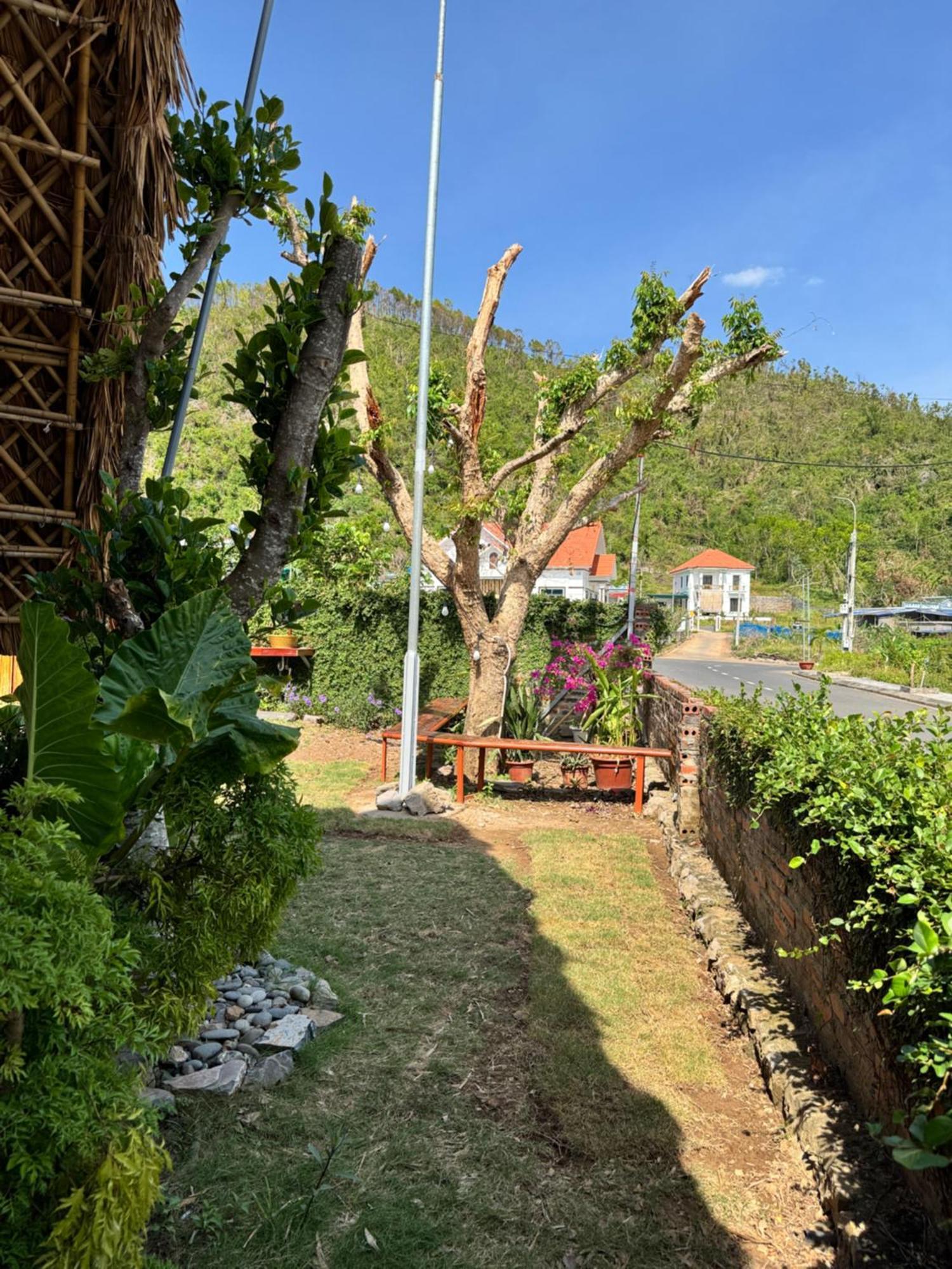 快乐住宿旅馆 Hien Hao 外观 照片